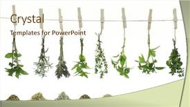  Presentation with thyme - Presentation design having coffee phone and chalkboard with word mission background and a tawny brown colored foreground