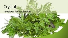  Presentation with lemongrass herb plant fresh leaves - Slides with thyme leaves plant - fresh herbs isolated on white background and a soft green colored foreground