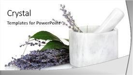  Presentation with newborn lavender - Colorful PPT theme enhanced with thyme purple flowered plant - beautiful lavender in a mortar backdrop and a white colored foreground