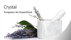  Presentation with difference lavender - PPT layouts enhanced with thyme purple flowered plant - beautiful lavender in a mortar background and a white colored foreground