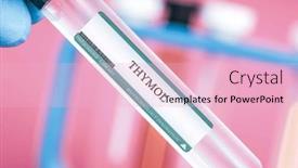  Presentation with plants - Presentation design featuring thymol-a-pheromone-produced background and a lemonade colored foreground