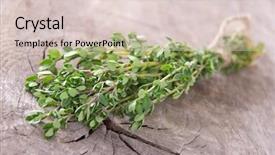  Presentation with thyme - Colorful slide deck enhanced with thymus vulgaris plant - fresh thyme on wooden table backdrop and a lemonade colored foreground