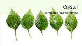  Presentation with vietnamese food bun cha - PPT theme with small candle with various bottles on the wooden table background and a dark gray colored foreground