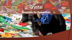  Presentation with tibet - Audience pleasing presentation theme consisting of tibet with buddhist prayer backdrop and a red colored foreground