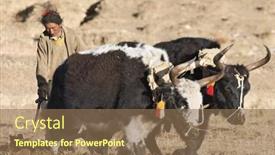  Presentation with plough - 