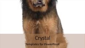  Presentation with 4 years old children and doctor - Presentation theme having lush vine swirls background and a white colored foreground.