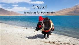  Presentation with tibet - Slides enhanced with tibetan yak at the yamdrok background and a light blue colored foreground