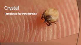  Presentation with human skin histology - Colorful slide set enhanced with tick crawling on human skin backdrop and a  colored foreground