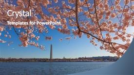  Presentation with japan cherry blossom - Colorful PPT layouts enhanced with tidal basin washington dc usa backdrop and a violet colored foreground