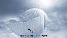  Presentation with seashell - Slides enhanced with pixie dust - pretty seashell on shore background and a light blue colored foreground