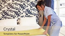  Presentation with bed hotel - Audience pleasing slides consisting of swamp landscapes - forest thickets a tourist itinerary backdrop and a tawny brown colored foreground