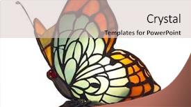  Presentation with butterfly - Presentation featuring tiffany - decorative butterfly lamp background and a lemonade colored foreground