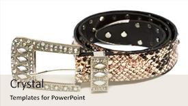  Presentation with diamonds - Presentation theme consisting of tiger fabric - beautiful belt with diamonds background and a soft green colored foreground