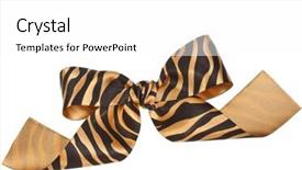  Presentation with black and white film strip - Beautiful presentation theme featuring tiger fabric - striped ribbon bow isolated backdrop and a  colored foreground