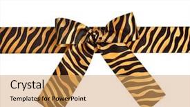  Presentation with black and white film strip - Amazing slide set having tiger fabric - striped ribbon bow isolated backdrop and a yellow colored foreground