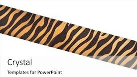  Presentation with white - PPT layouts having tiger fabric - striped ribbon isolated over white background and a  colored foreground