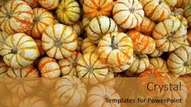  Presentation with tiger - Theme featuring tiger-striped-pumpkins-orange background and a gold colored foreground