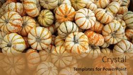  Presentation with tiger - Presentation theme having tiger-striped-pumpkins-orange background and a  colored foreground