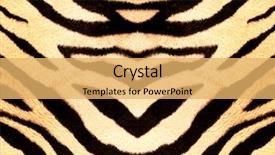  Presentation with tiger - Presentation design having wish you were here - acme - view of mexican background and a light blue colored foreground.