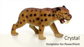  Presentation with tiger - Presentation featuring tiger toy isolated on white background and a lemonade colored foreground