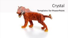  Presentation with tiger - Beautiful slide set featuring tiger toy isolated on white backdrop and a white colored foreground
