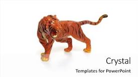  Presentation with school budget tiger - Presentation theme consisting of tiger toy isolated on white background and a white colored foreground