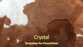  Presentation with cow pattern - PPT layouts enhanced with tigerprint - brown fur carpet with cow background and a tawny brown colored foreground