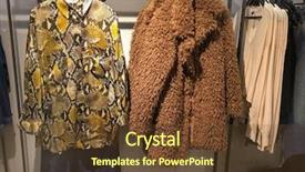  Presentation with fashion accessories - PPT theme enhanced with tigerprint - fashionable snake pattern clothes background and a tawny brown colored foreground