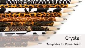 Presentation with safari - PPT theme consisting of tigerprint - safari pencils with animal skins background and a light gray colored foreground