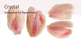  Presentation with nile tilapia fish - Presentation theme having tilapia fillets fresh water fish background and a  colored foreground