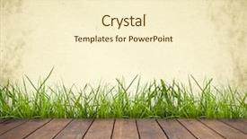  Presentation with oak wood texture and - Cool new presentation theme with cutting a forest of poplars poplars file cut and cranes to move them backdrop and a coral colored foreground