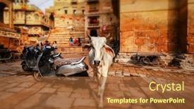  Presentation with city india - Slides consisting of tilt-shift-lens-cow background and a tawny brown colored foreground