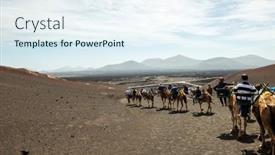  Presentation with camel - 