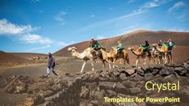  Presentation with camel - 