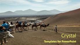  Presentation with camel - 