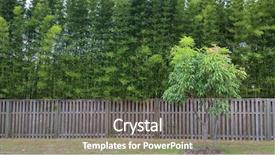  Presentation with textured natural bamboo fence - Beautiful PPT layouts featuring timber fence with bamboo screening backdrop and a gray colored foreground