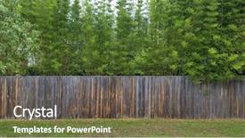  Presentation with textured natural bamboo fence - PPT layouts having timber fence with bamboo screening background and a gray colored foreground