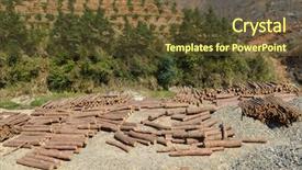  Presentation with pile of pine pellets - Presentation theme featuring timber logs in pine forest background and a  colored foreground