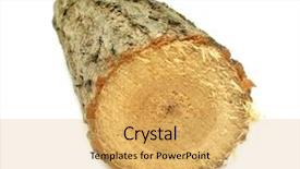  Presentation with lumber - Cool new slides with timber lumber balk beam short backdrop and a yellow colored foreground