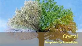  Presentation with season - PPT theme with time - four season tree background and a tawny brown colored foreground