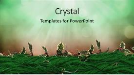  Presentation with animation - Cool new presentation theme with time animation - digital composite of christmas wreath backdrop and a soft green colored foreground
