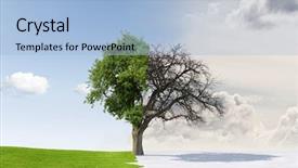  Presentation with summer time - Colorful PPT theme enhanced with time change - changing seasons from summer backdrop and a light blue colored foreground