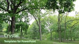  Presentation with new york - Cool new presentation theme with time manhattan new york city backdrop and a tawny brown colored foreground