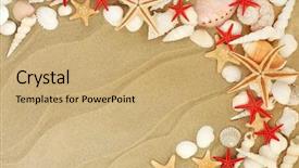  Presentation with seashell - Amazing slide deck having time select - seashell selection including starfish varieties backdrop and a coral colored foreground