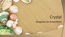  Presentation with space time - Slides enhanced with time select - seashell selection with mother background and a coral colored foreground