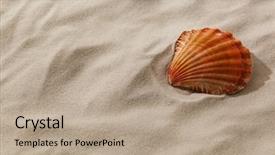  Presentation with time travel - Presentation theme consisting of time travel - shell is in the sand background and a coral colored foreground