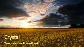  Presentation with dark blue - Amazing slide set having timelapse of rapeseed flowers backdrop and a tawny brown colored foreground