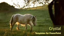  Presentation with earth rising sun illustration - PPT theme with tinker-horse-galineers-cob-grazing background and a tawny brown colored foreground