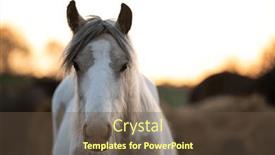  Presentation with earth rising sun illustration - Presentation design having tinker-horse-galineers-cob-grazing background and a tawny brown colored foreground