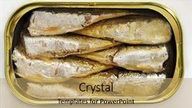  Presentation with sardines - Presentation design featuring tinned fish - open can of sardines background and a coral colored foreground